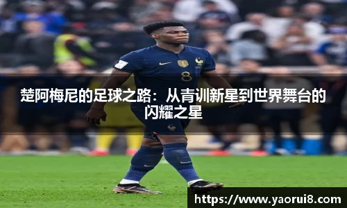  芒果体育官方app下载